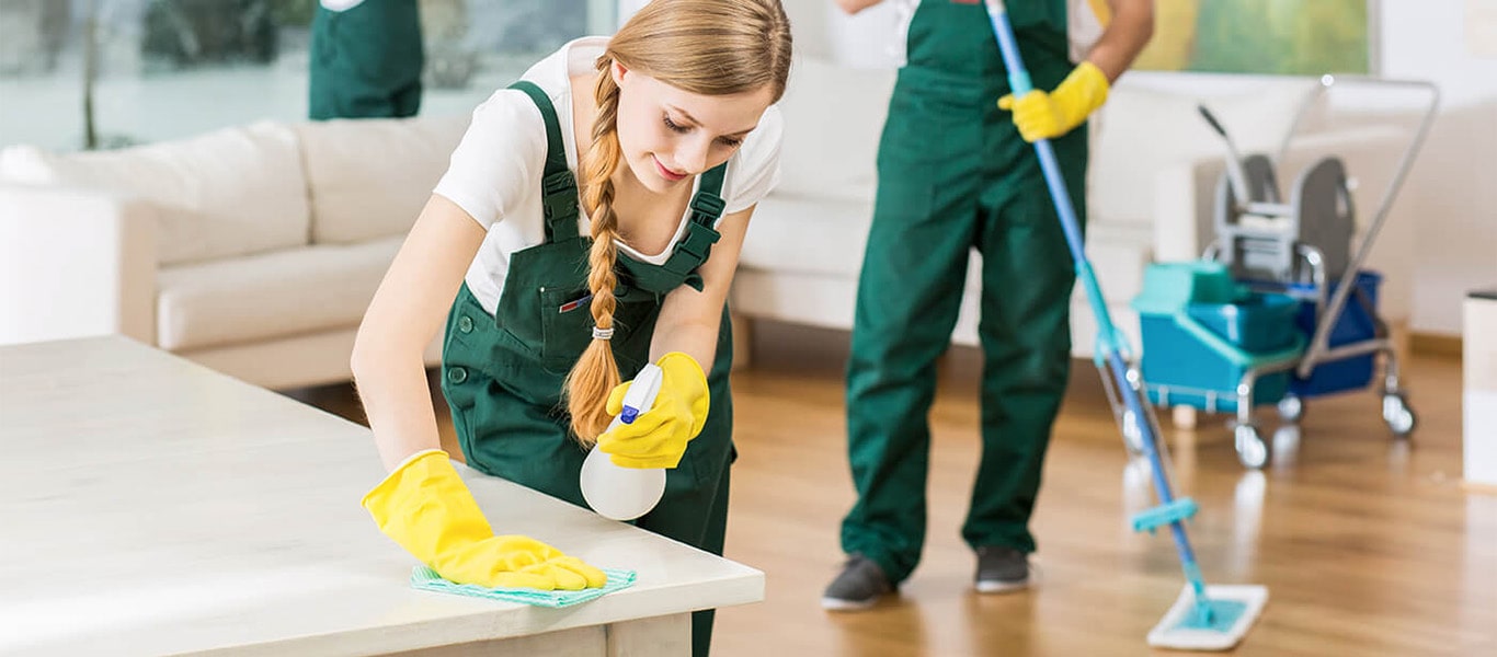 Image Offer Best Quality Solution In Cleaning